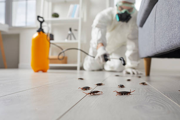 Commercial Kitchen Cockroach Control in Ganado